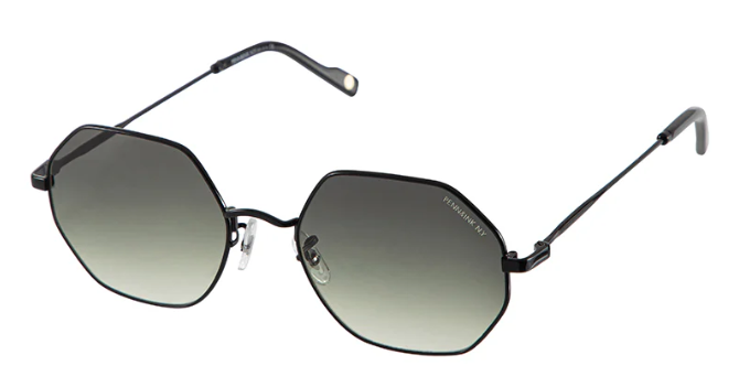 P&amp;I sun 8041