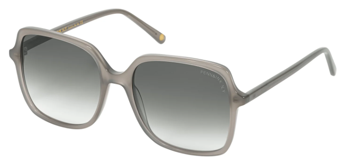P&amp;I sun 8060-767