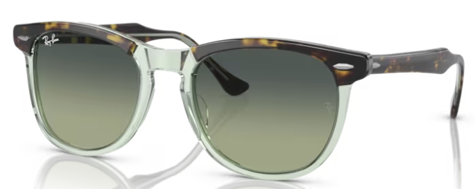 2398 Eagleeye 1376/BH