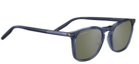 Delio ss021002 