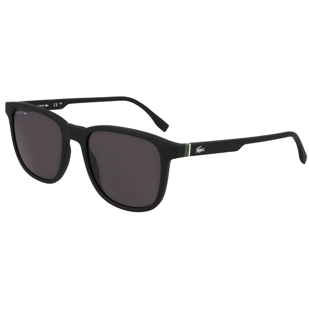 L6029S 002